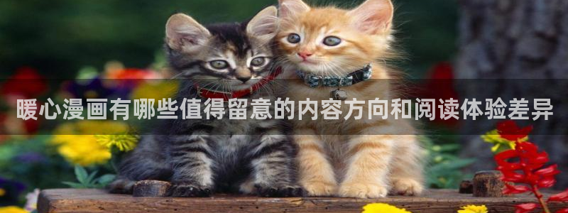 羞羞漫画作品列表:暖心漫画有哪些值得留意的内容方向和阅读体验差异